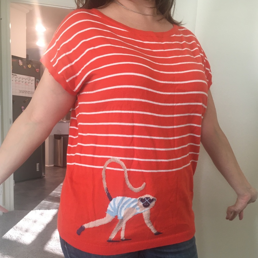 Ladies thin sweater type shirt